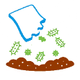 The Pouch in soil initiates natural transformation